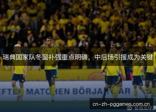 瑞典国家队冬窗补强重点明确,中后场引援成为关键 瑞典国家队冬窗补强重点明确,中后场引援成为关键